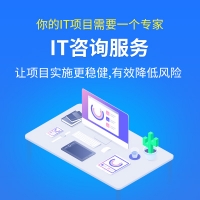 IT��ѯ����